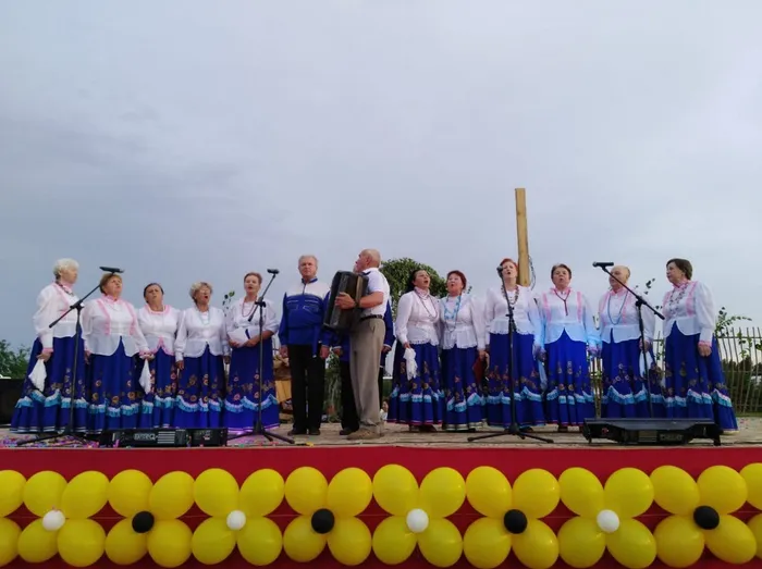 Выступление хора ветеранов Народной песни  на День села Новоукраинского