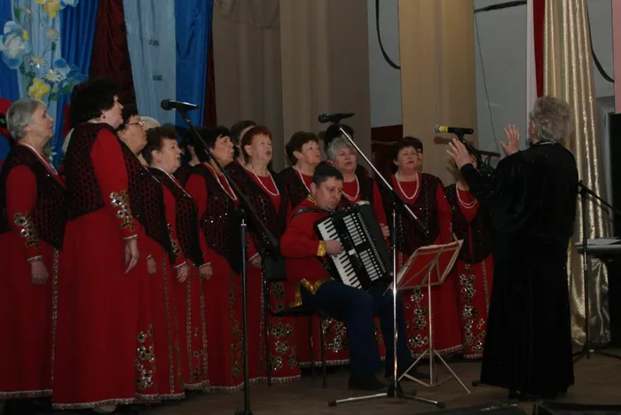 народный самодеятельный коллектив ВеселянкиСЦКС Соколовского сп рук Литвинова Светлана